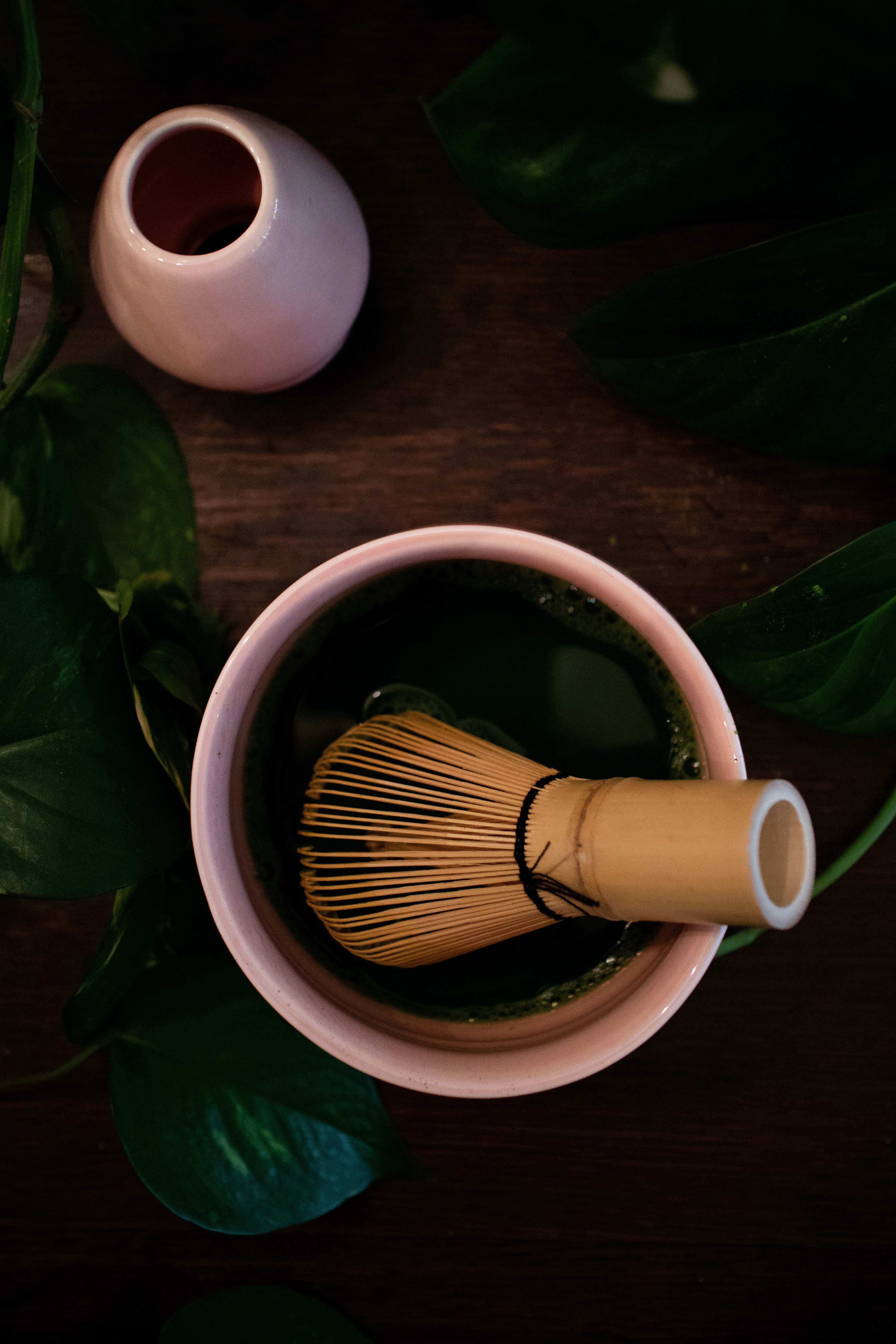 Chawan and bamboo chasen resting among houseplants
