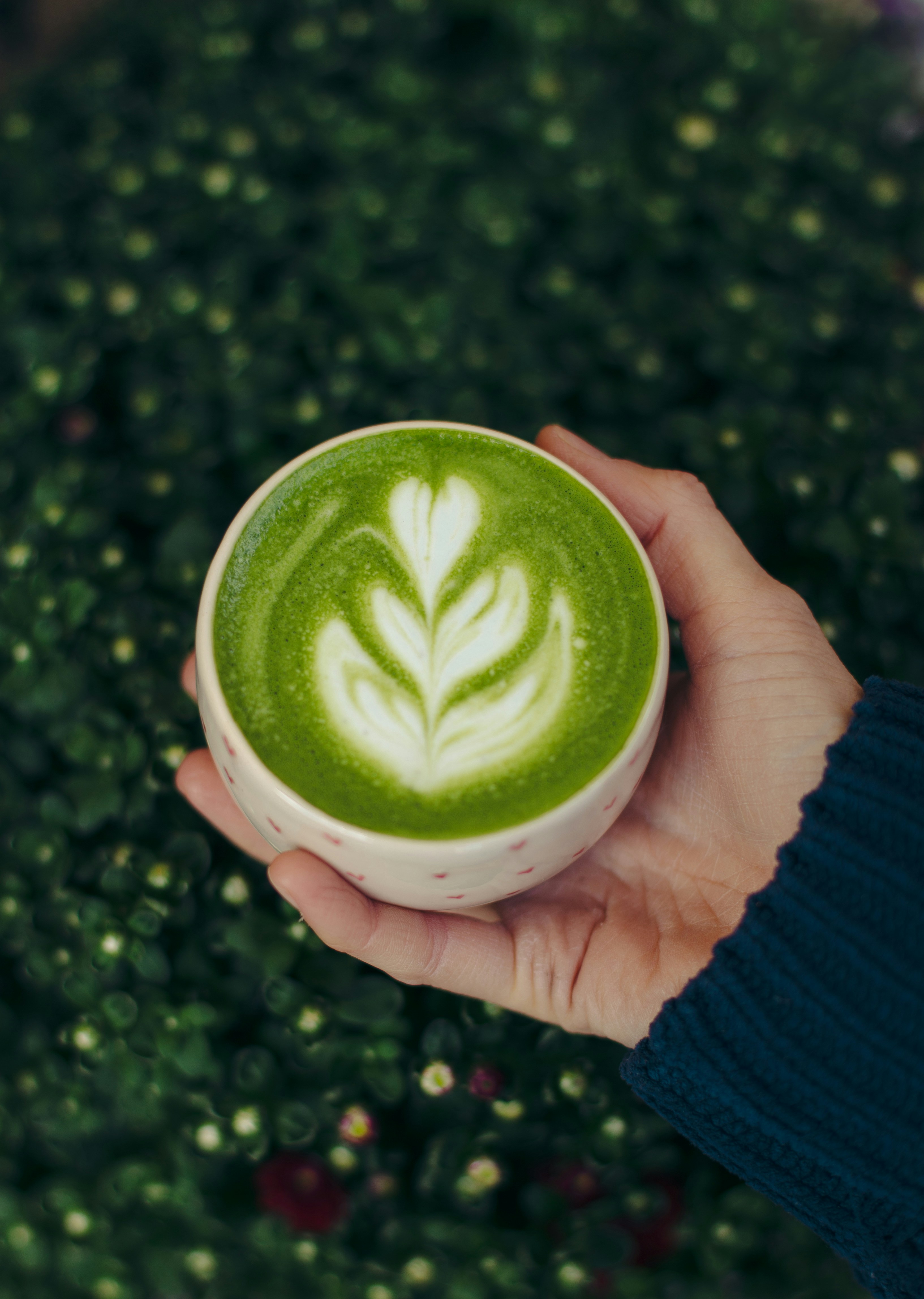 Hand holding a bowl of matcha outdoors near greenery